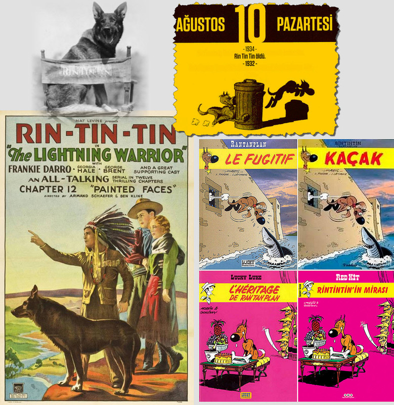 Rintintin.jpg