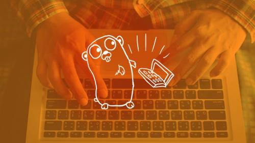 Beginners : Google's Go (golang) Programming Language Beginners : Google's Go (golang) Programming Language