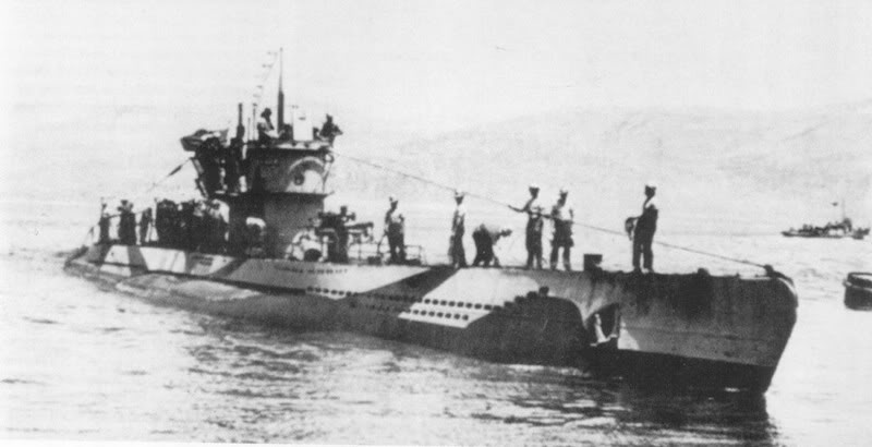 U-81