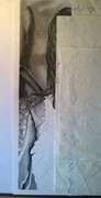 http://s19.postimg.cc/e9w1fpden/WP_20140424_005.jpg