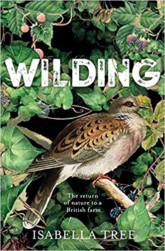 Wilding The return of nature to an English farm