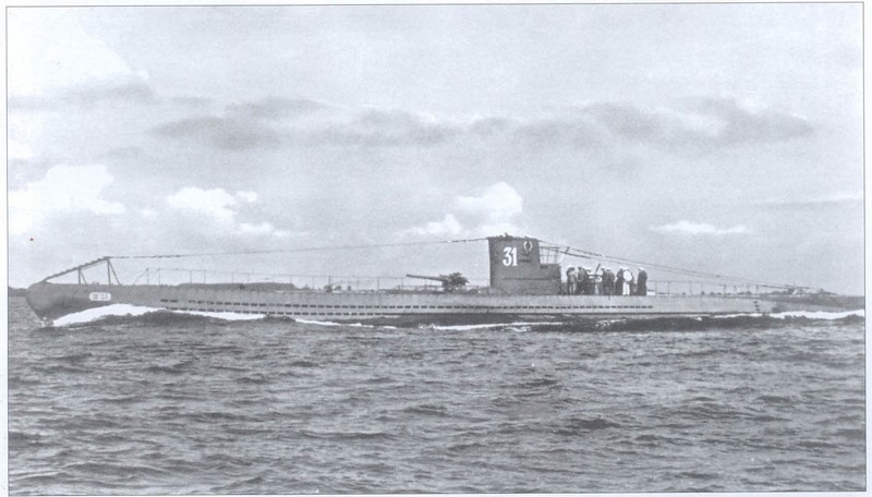 U-31