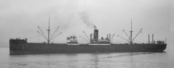 Mercante Noruego SS Hird