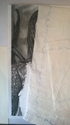 http://s19.postimg.cc/vpv9eiiov/WP_20140501_008.jpg
