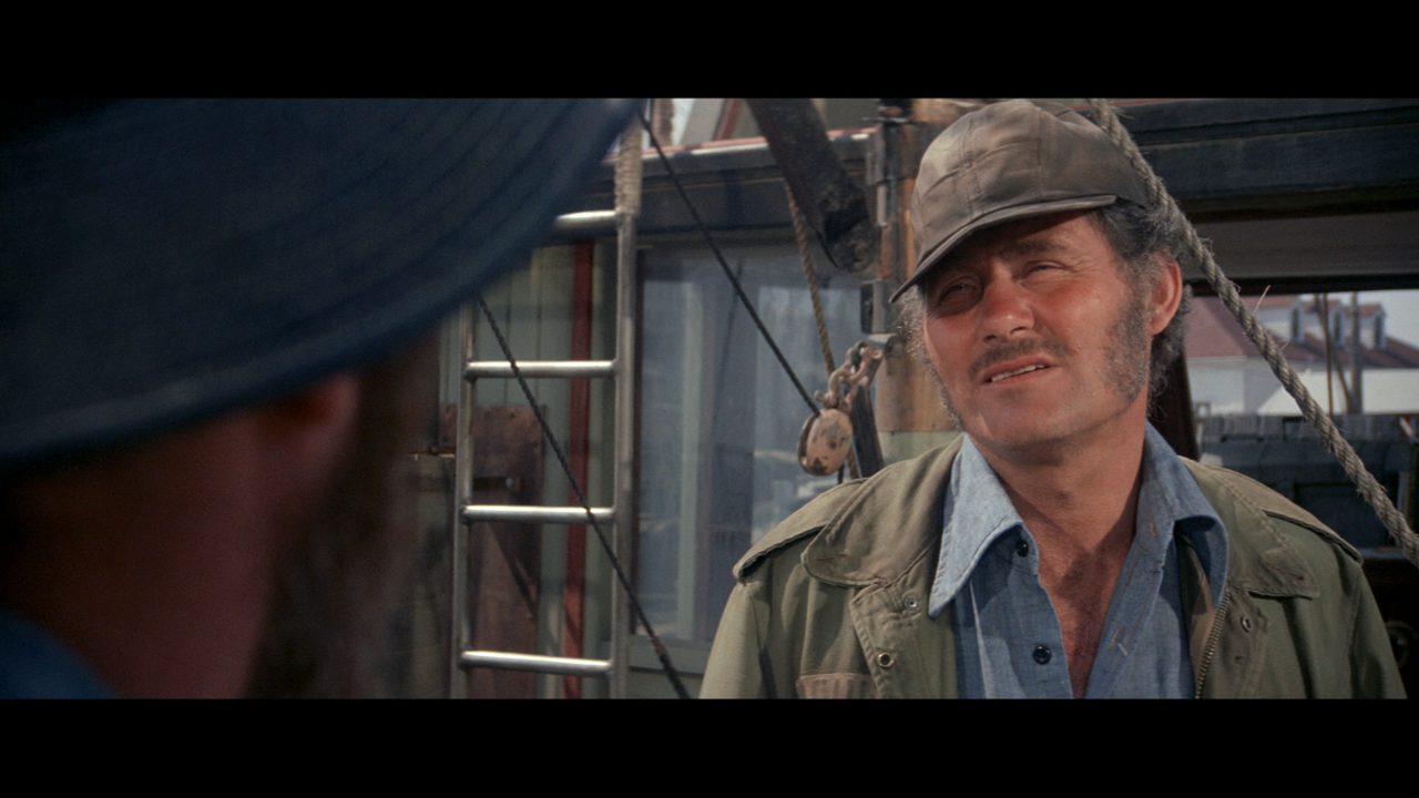 jaws_29