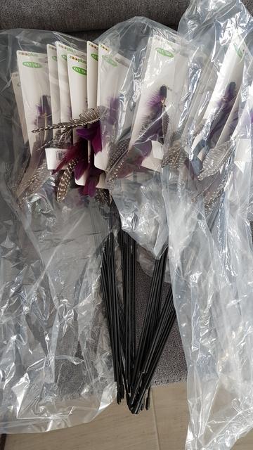 20180426_165959.jpg