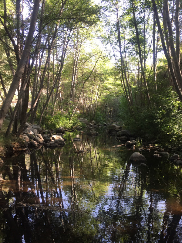 https://s19.postimg.cc/4g6epslab/IMG_2328.jpg