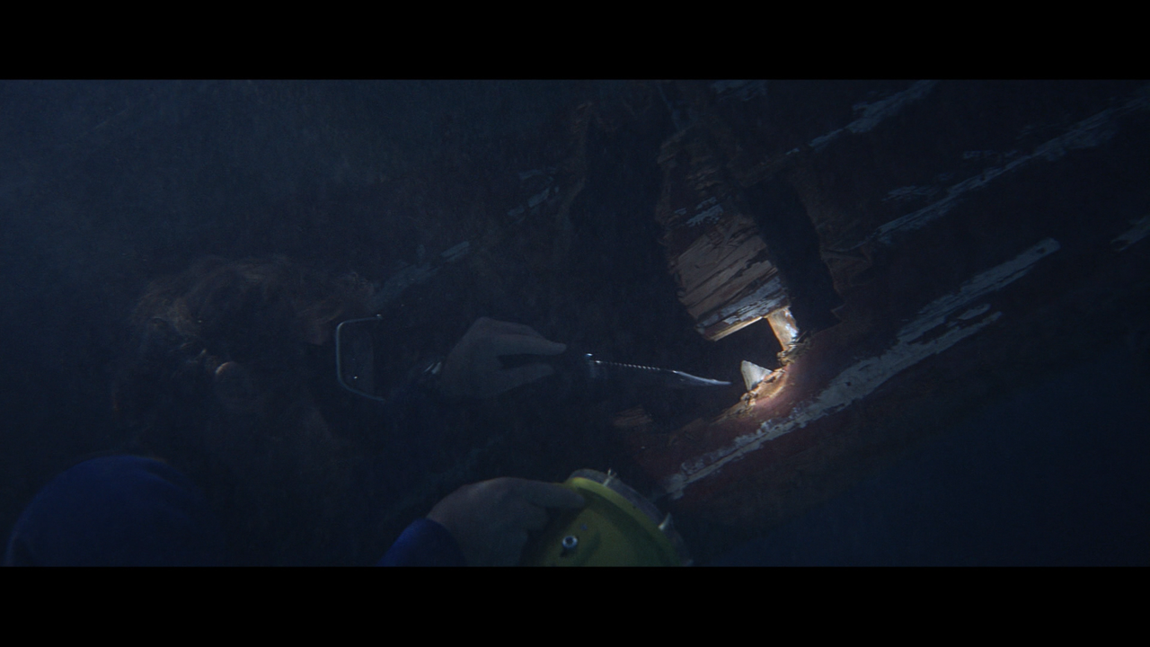 jaws_24