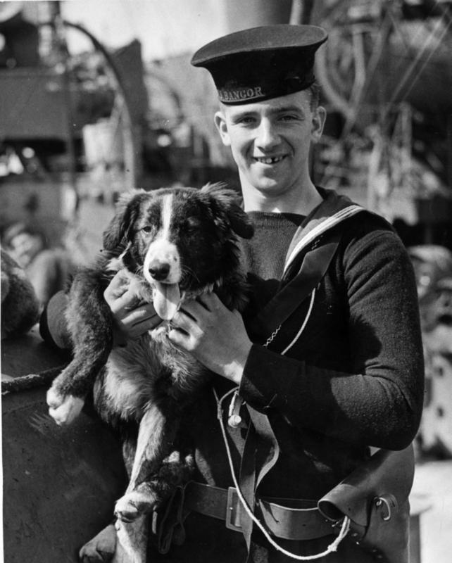 Today, mascota del dragaminas HMS Bangor en brazos de un miembro de la tripulación, 1941