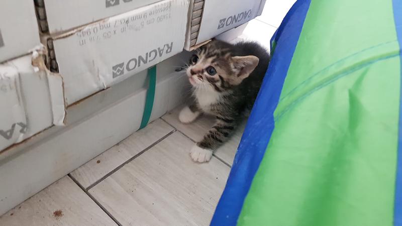 20180603_144653.jpg