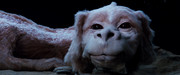 Fotos_03497_The_Neverending_Story_1984.j