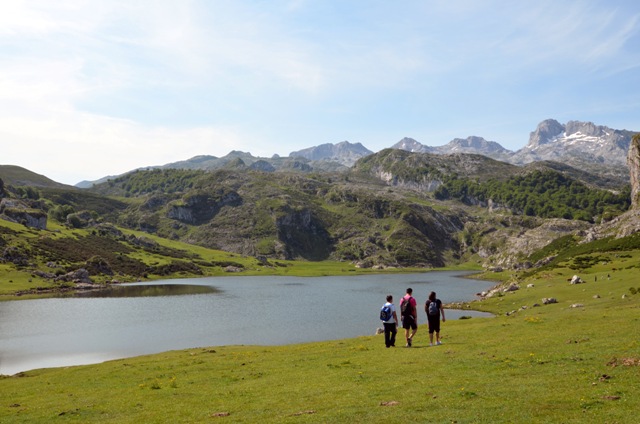 Vacaciones en Asturias y Cantabria - Blogs de España - Lagos de Covadonga y Olla de San Vicente (10)