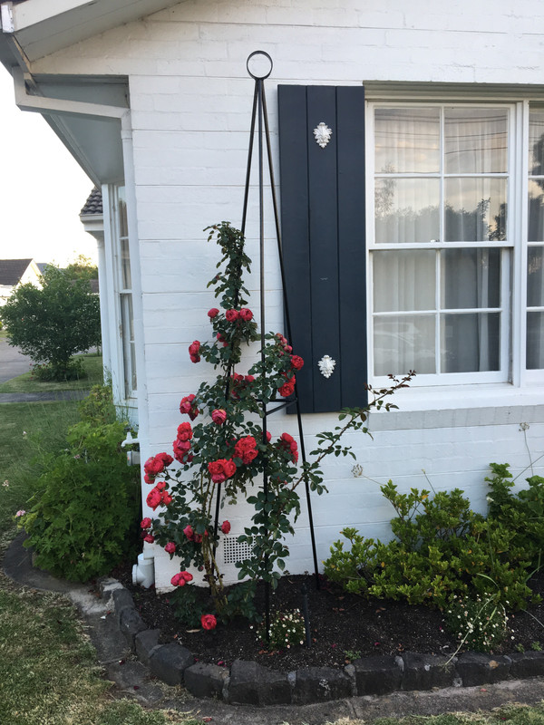 garden ornaments