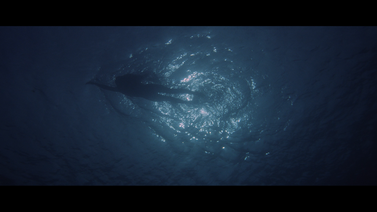 jaws_03