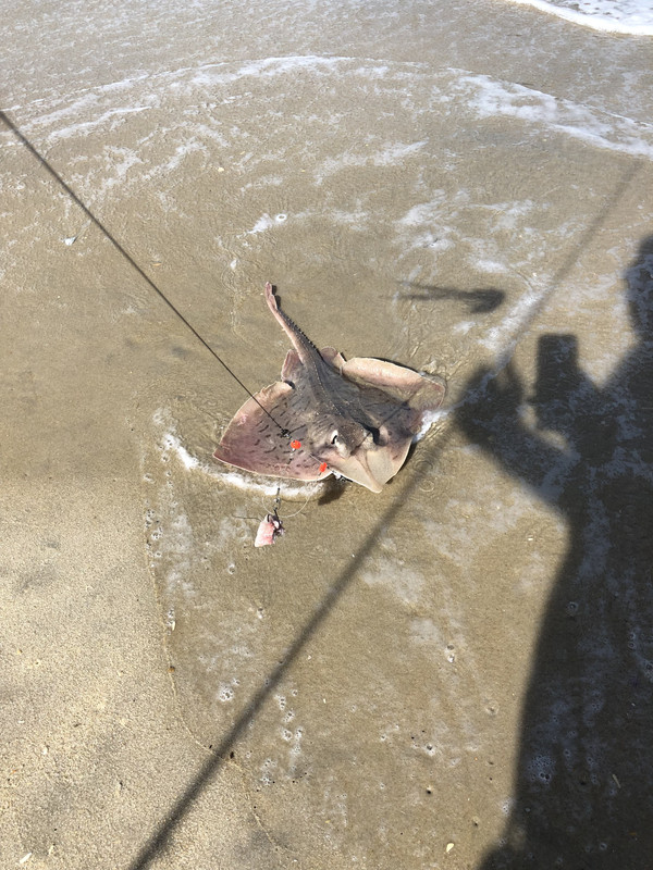Coquina_Beach_5-15-18_4.jpg