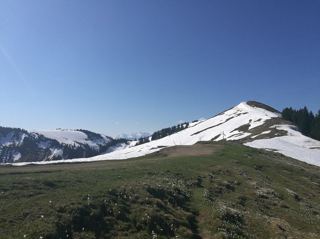 Slika