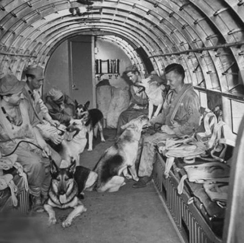 Perros del ejército volando hacia Honolulu, 1942