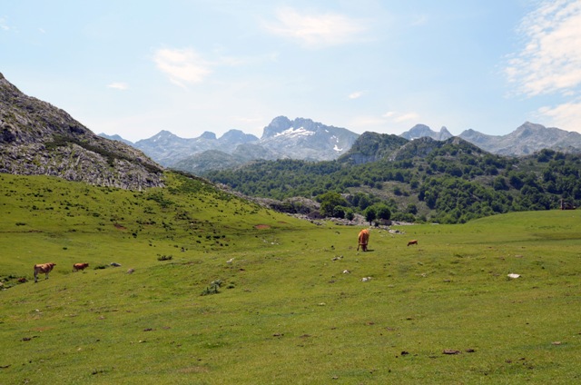 Vacaciones en Asturias y Cantabria - Blogs de España - Lagos de Covadonga y Olla de San Vicente (17)