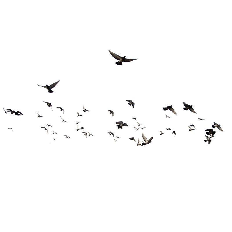 tema-ve-index-karisik-png-resimler-20.png