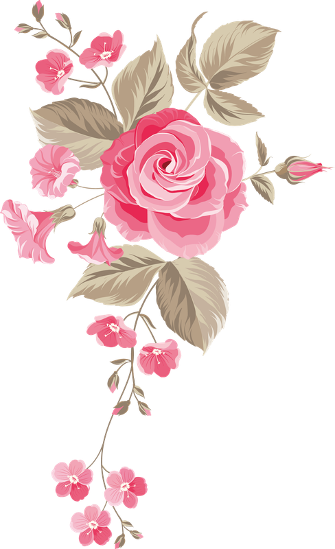gul-ve-cicek-png-resimler-11.png