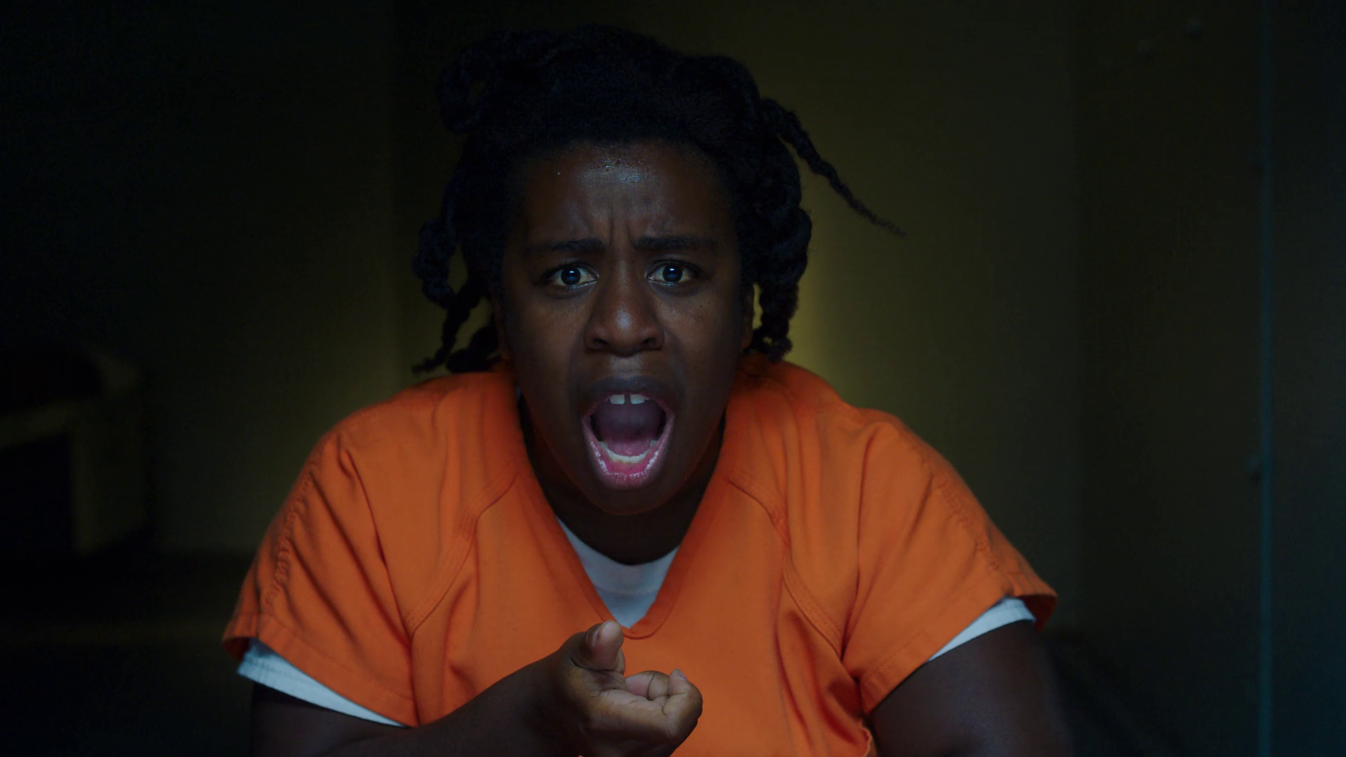 Orange Is the New Black S06 1080p NF WEB DL DDP5 1 x264 NTb