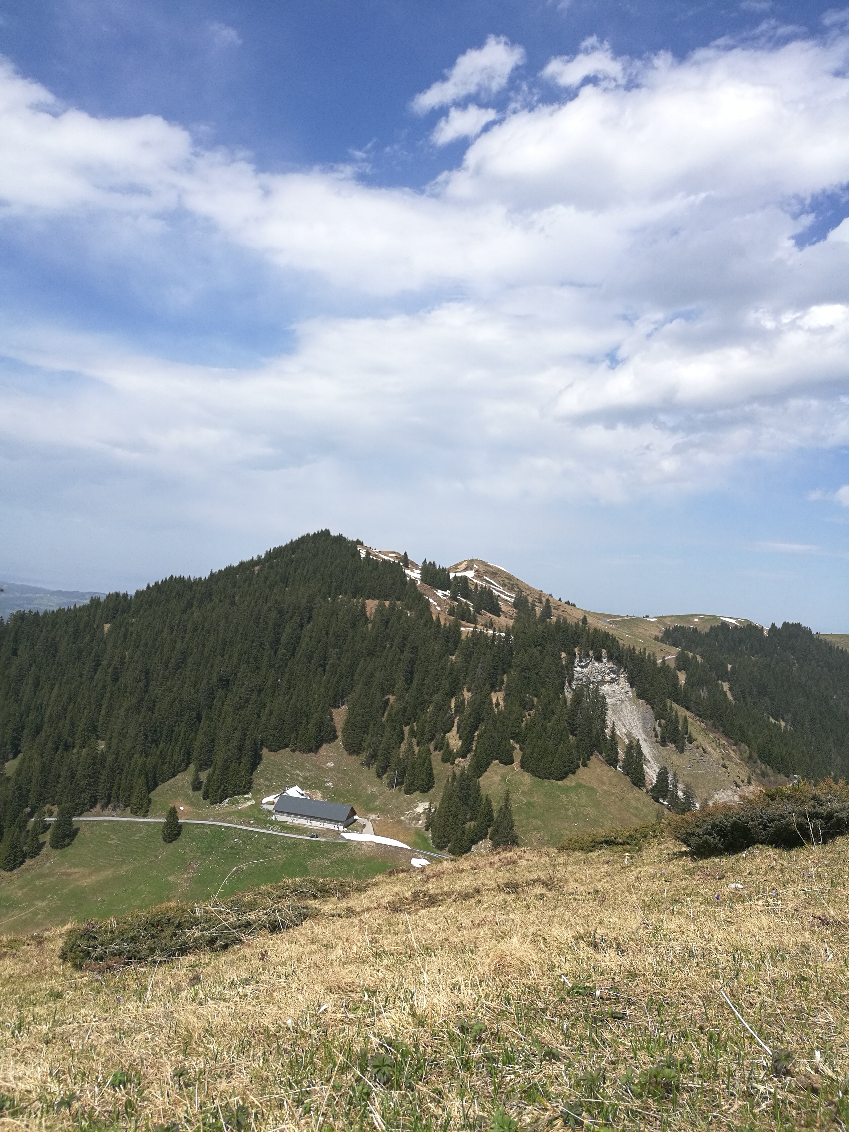 Slika