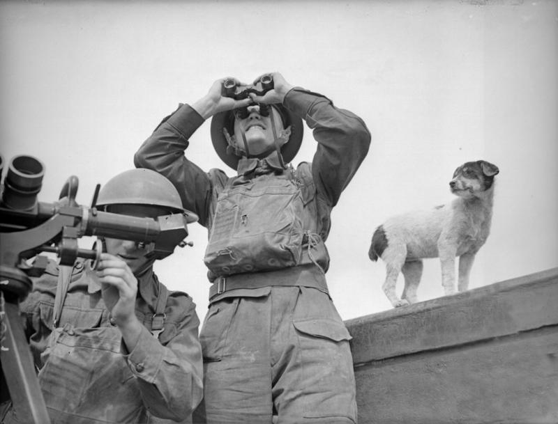 Un perro observa a artilleros AA buscando enemigos. 1940