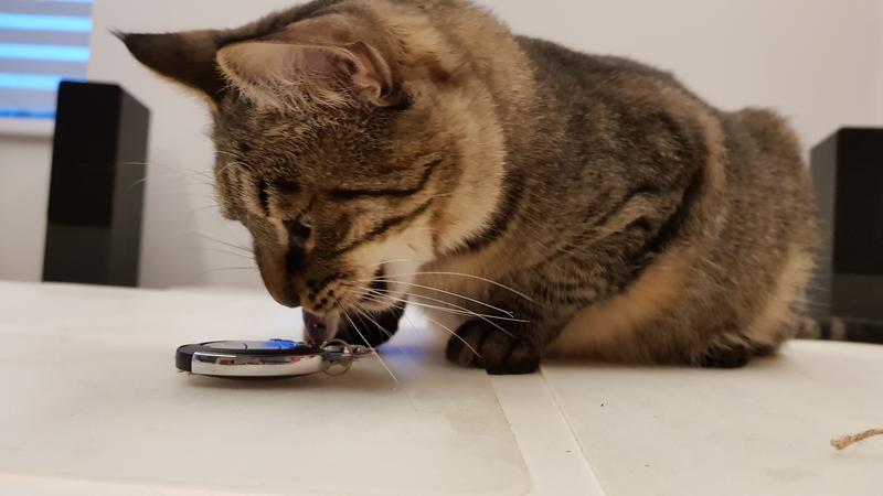 20180414_202348.jpg