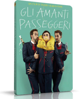 Gli Amanti Passeggeri (2013).mkv DVDRip x264 AC3 - ITA