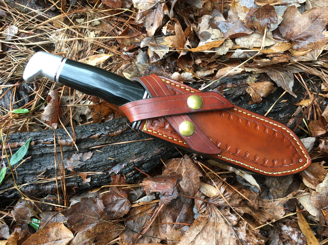 Buck_119_in_Makael_built_sheath.jpg