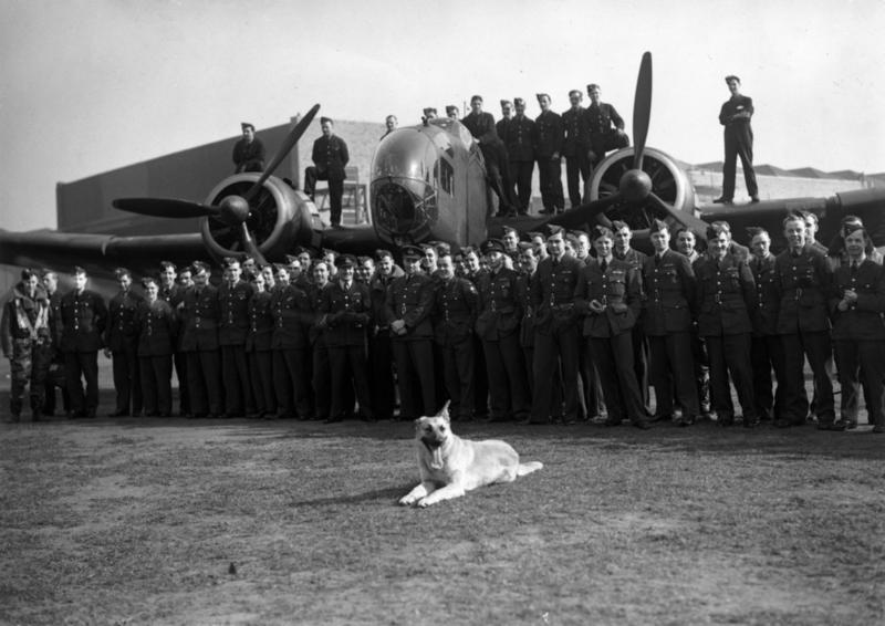 Un pastor alemán posa con Pilotos de la RAF después de realizar una misión de bombardeo de buques de guerra nazis. Otras mascotas populares de la RAF fueron terriers, conejos blancos, cabras y hasta gansos y patos