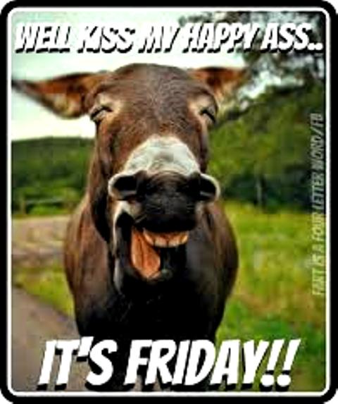 Friday_Donkey
