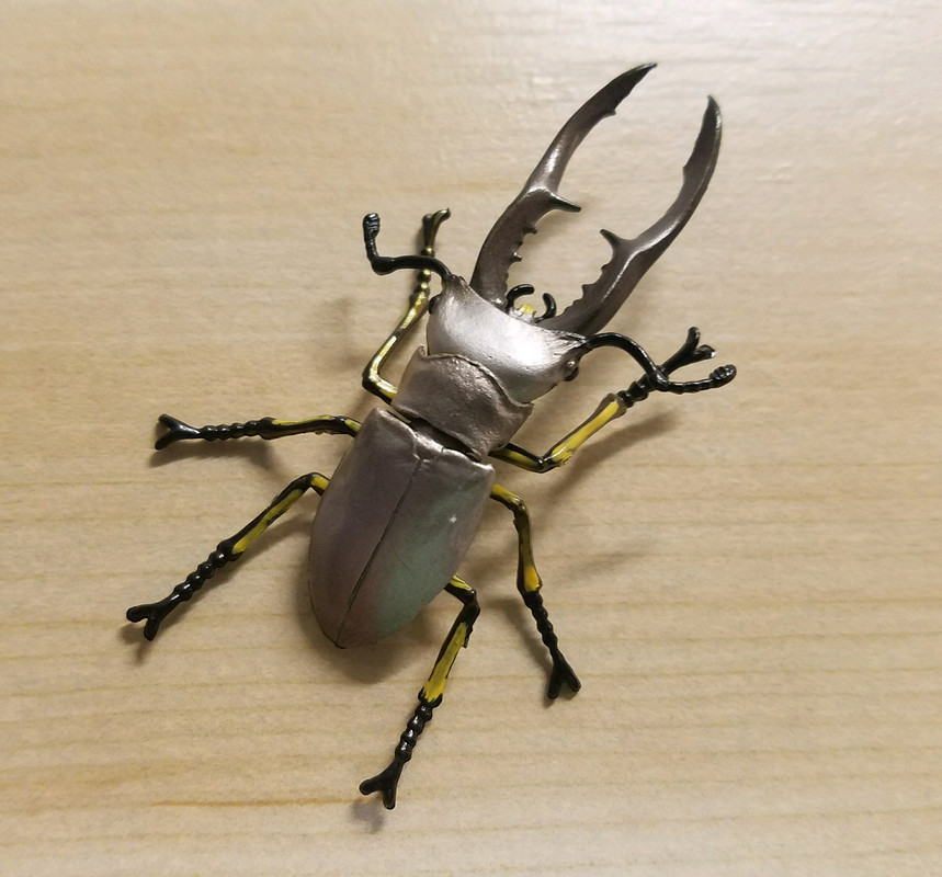 Поставь жуки 3. Жук Рогач. Cyclommatus metallifer. Жук олень из металла. Жук похожий на жука оленя.
