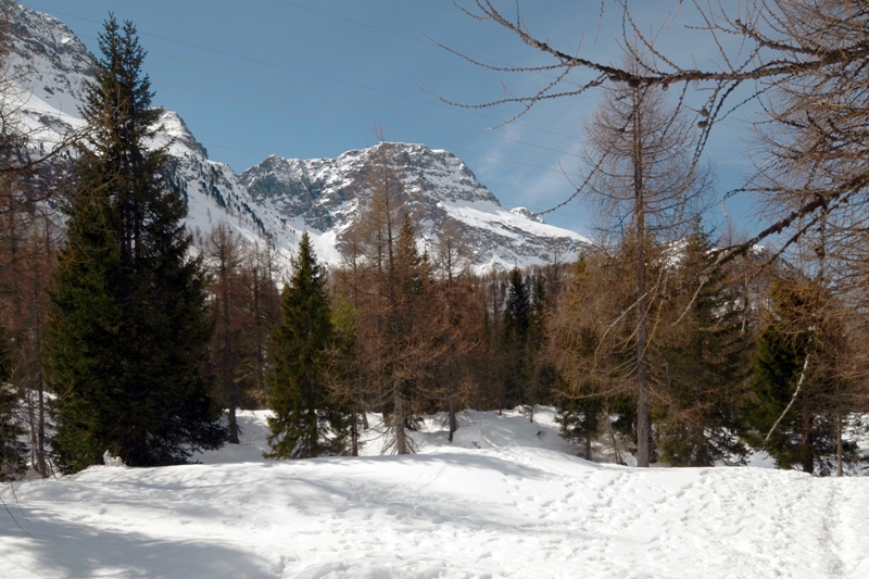 Dolomitas del Sur - Los Alpes Dolomitas y los lagos de Garda y Como (18)