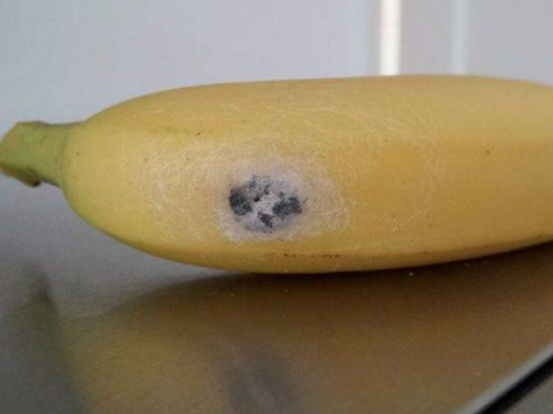 berapa banyak makan pisang dalam sehari