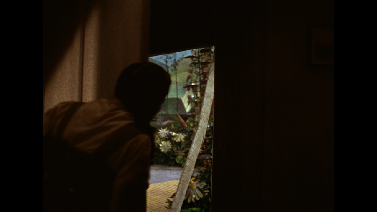 the_wizard_of_oz_09
