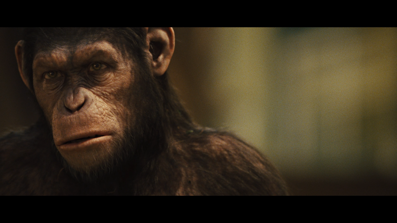 rise_of_the_planet_of_the_apes_38