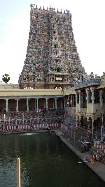 India y Maldivas - 31 días por libre - Blogs de Sub Continente Indio - Madurai y su Meenakshi Temple (4)