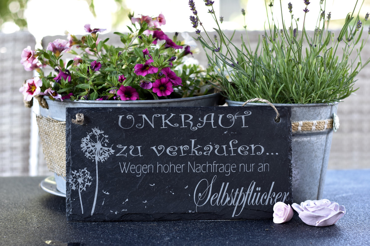 Garten Balkon Terrasse Deko Schild Schiefer Geschenk 15x30cm Laube