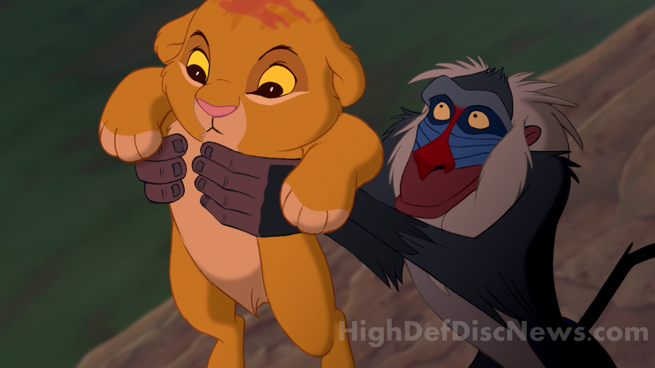 the_lion_king_08