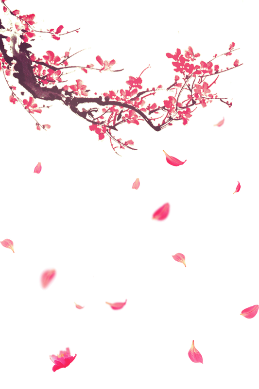 tema-ve-index-karisik-png-resimler-2.png