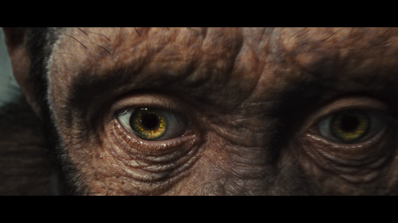 rise_of_the_planet_of_the_apes_02