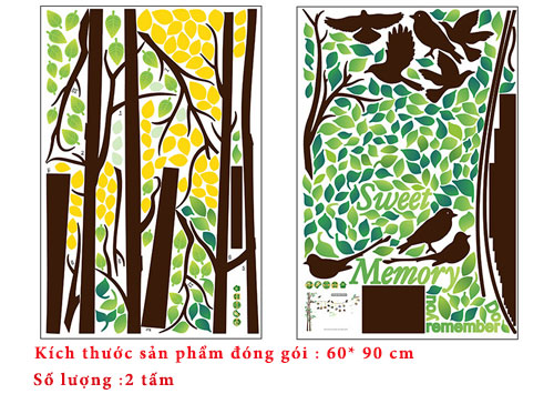 decal dan tuong
