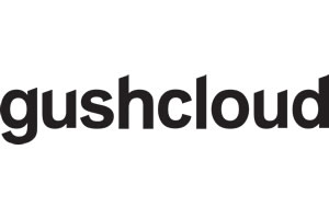 Media Partner