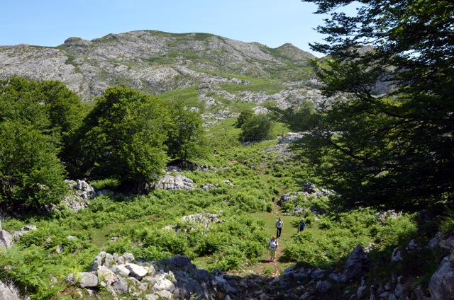 Vacaciones en Asturias y Cantabria - Blogs de España - Lagos de Covadonga y Olla de San Vicente (30)