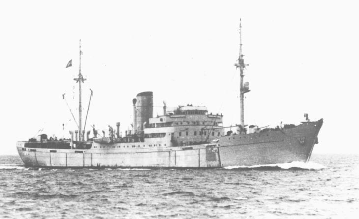 Cruceros auxiliares Clase Stier
