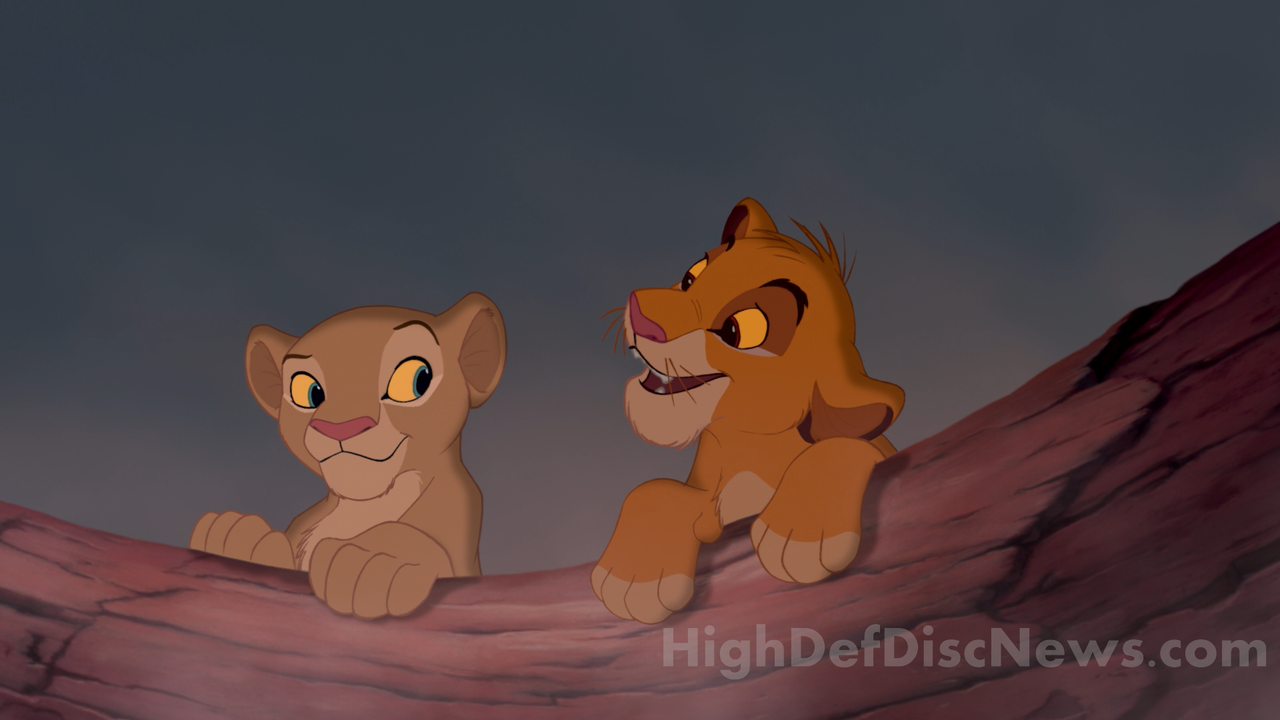 the_lion_king_19