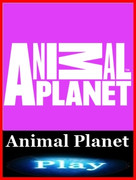 Animal_Planet