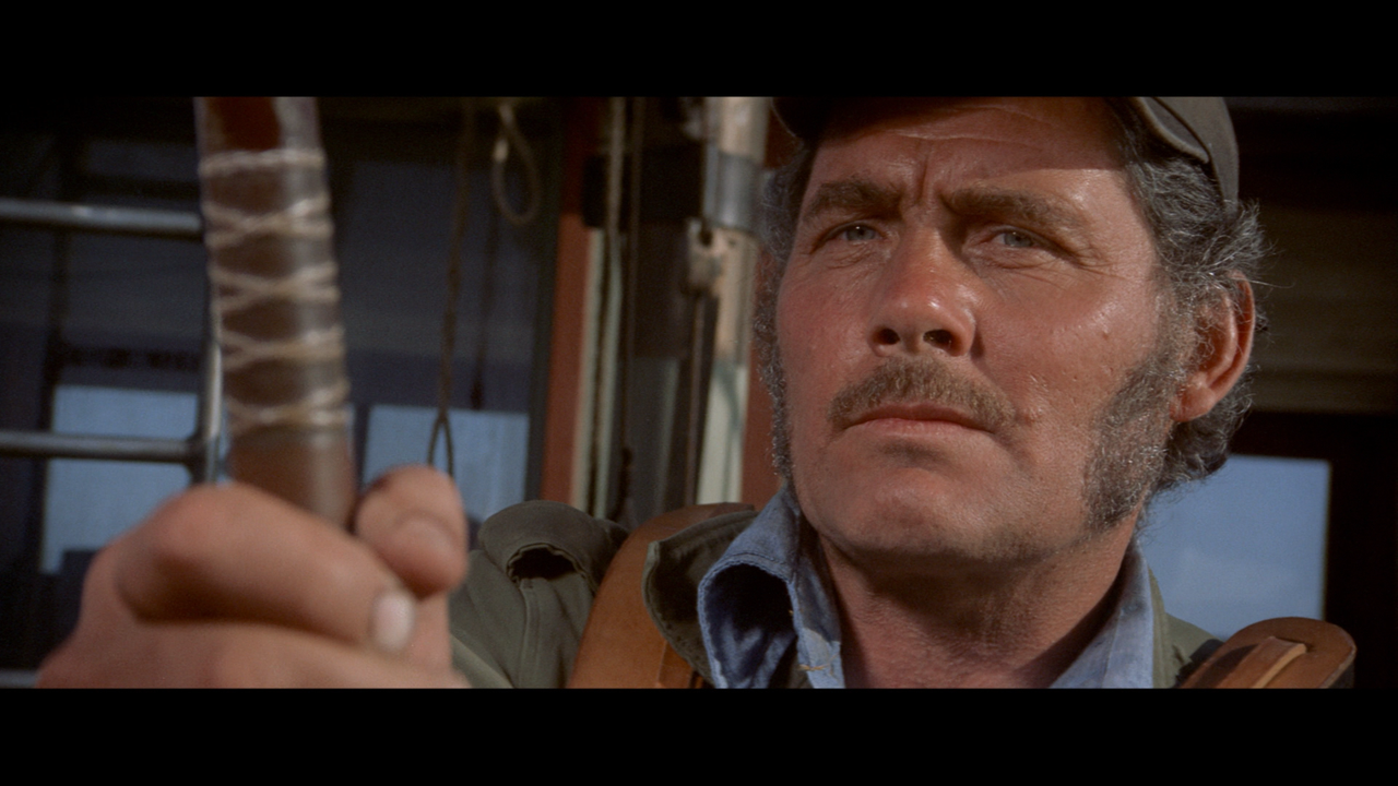 jaws_30
