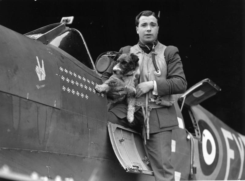 El capitán de la RAF Eric Stanley Lock posando en su Spitfire con su mascota. 31 de julio 1941